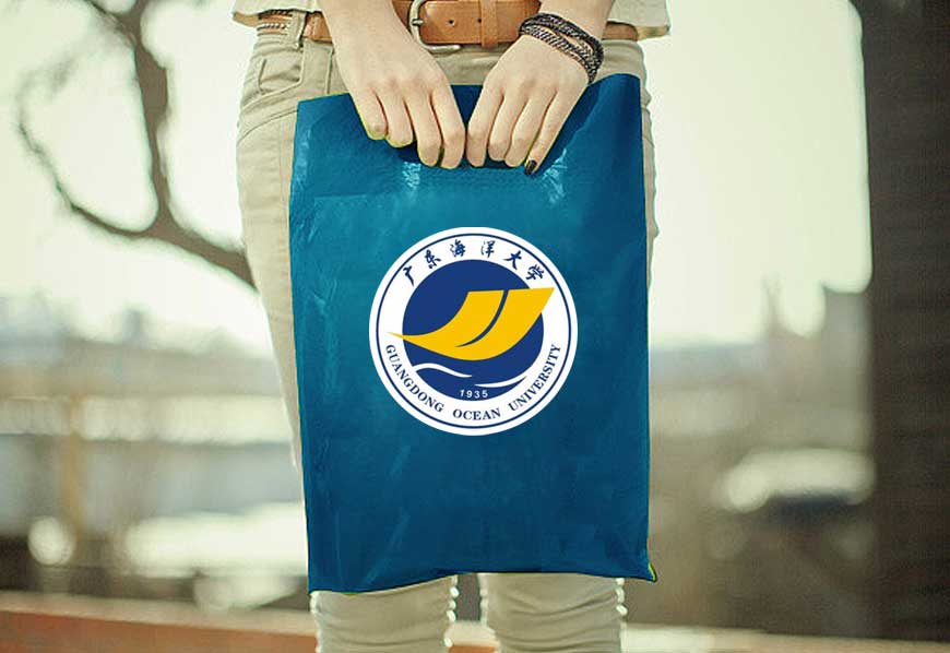 廣東海洋大學(xué)?；赵O(shè)計具象與抽象完美結(jié)合-3