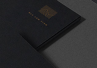 廈門百利安律師事務(wù)所標志設(shè)計