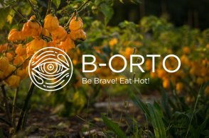 辣椒品牌B-Orto標志設計